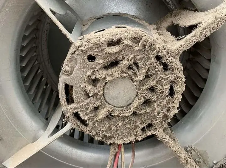 Blower Cleaning